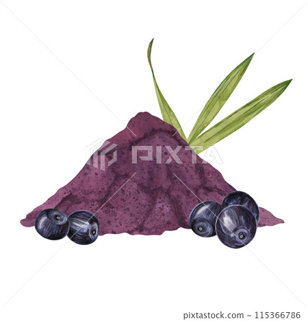 Acai berries superfood, diet powder and palm leaves. Fresh tropical berries and dried pulp set. Watercolor illustration for printing, packaging, cosmetics, granola, smoothie, supplements, labels 115366786