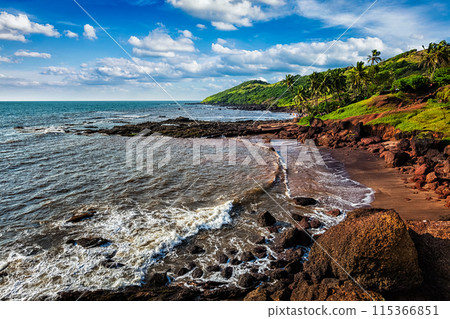Anjuna Beach, Goa 115366851