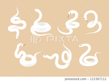 Snake illustration material 115367112