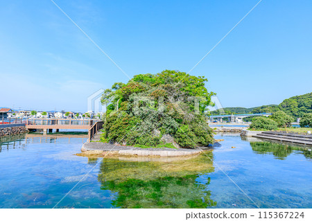 初夏的弁天島，山口縣長門市 115367224
