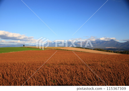 Colorful nature and clouds 115367309