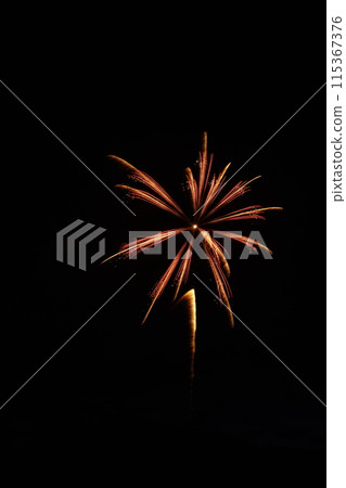 Fireworks blooming in the night sky Fireworks blooming in the night sky 115367376