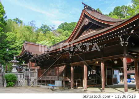 Mogami Inari Mogami Inari 115367519
