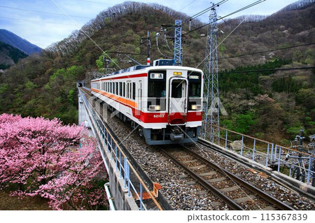 Traveling through the Okukinuji area in spring when cherry blossoms are in bloom... "6050 series" at Kawajiyumoto Station Traveling through the Okukinuji area in spring when cherry blossoms are in bloom... "6050 series" at Kawajiyumoto Station 115367839