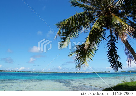 Blue sea of Bora Bora 115367900