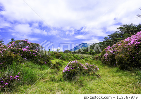 初夏的Ebino no Kogen 115367979
