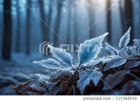 Deciduous maple leaves frostcovered in snowy landscape 115368059