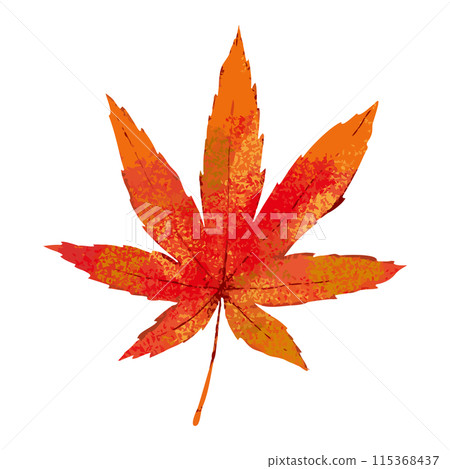 Hand-drawn watercolor illustration of autumn maple leaves / flat vector material isolated on white background Hand-drawn watercolor illustration of autumn maple leaves / flat vector material isolated on white background 115368437