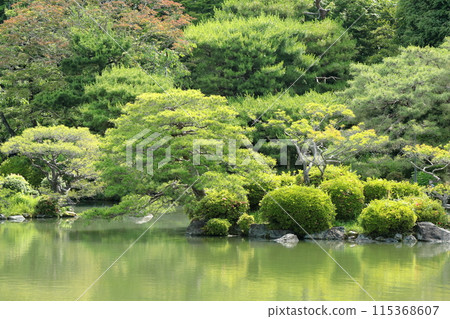 Scenery of Kyoto Heian Jingu Shrine 115368607
