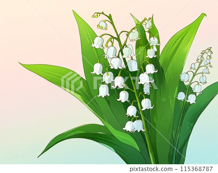 鈴蘭花,白色的花 鈴蘭花,白色的花 115368787
