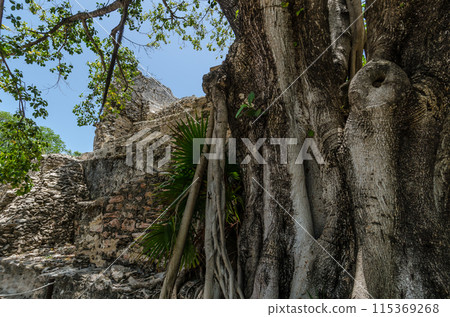 Archaeological Site of El Meco, Cancun, Mexico 115369268