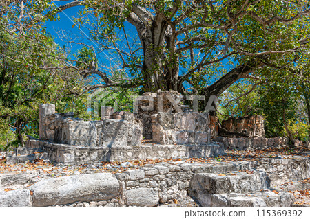 El Rey mayan ruins, Cancun, Mexico 115369392