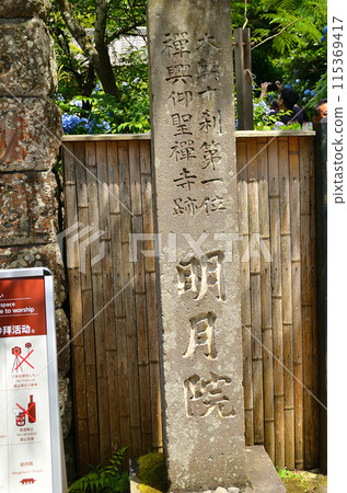 Meigetsuin Temple, a tourist spot in Yamanouchi, Kamakura City, Kanagawa Prefecture 115369417