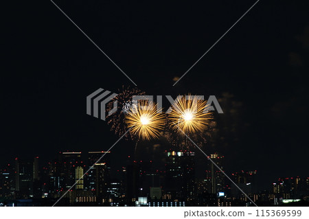 浪速淀川花火大會、十三花火大會、建築物和煙火 115369599
