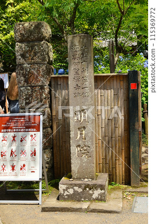 神奈川縣鎌倉市山之內的旅遊景點明月院 115369772