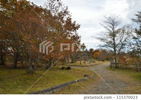 Numapara Marshland 2023-10-23 #100 115370023