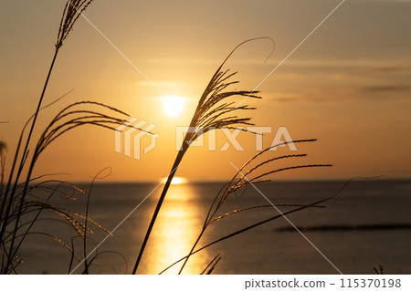 Coastal sunset Coastal sunset 115370198