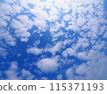 Look up at the sky  115371193