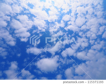 Look up at the sky  115371193