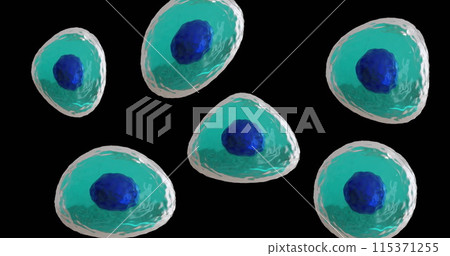 Image of micro of blue and turquoise cells on black background 115371255