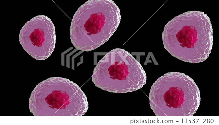 Image of micro of red and pink cells on black background 115371280
