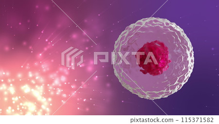 Image of micro of red and pink cells over pink and purple background Image of micro of red and pink cells over pink and purple background 115371582