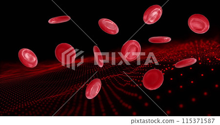 Image of micro of red blood cells on black background Image of micro of red blood cells on black background 115371587