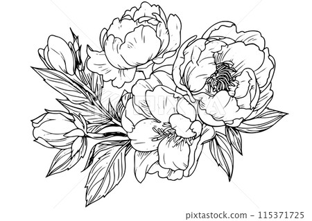 Vintage Floral Vector Collection: Hand-Drawn Roses, Baroque Ornaments, and Peony Blossoms in Black and White, Retro Illustration. Vintage Floral Vector Collection: Hand-Drawn Roses, Baroque Ornaments, and Peony Blossoms in Black and White, Retro Illustration. 115371725