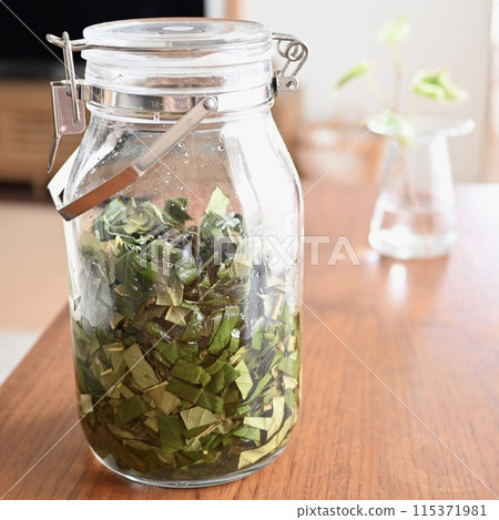 Making loquat leaf extract Making loquat leaf extract 115371981