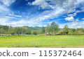 A spacious field under a blue sky with clouds and trees in the distance 115372464