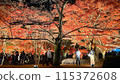 People watching the autumn leaves 115372608
