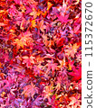 Falling leaves spreading all over 115372670