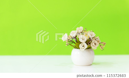 White rose flower on wood shelf green color background.   115372683