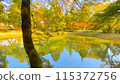 Autumn leaves reflected on the water 115372756