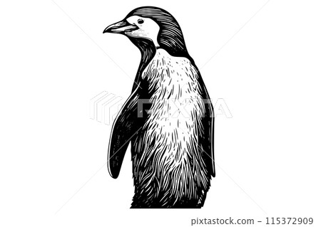 Engraved Sketch of a Cute Baby Penguin: Vector Animal Illustration of Antarctic Wildlife. 115372909