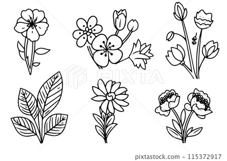 Different flower hand drawn ink sketch. Engraved style vector illustration. 115372917