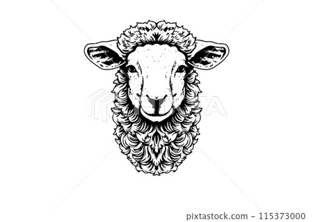Sheep logotype hand drawn ink sketch. Engraved style vector illustration. 115373000