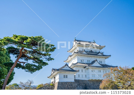 Odawara Castle, Castle Tower, Honmaru, Honmaru Square 115373028