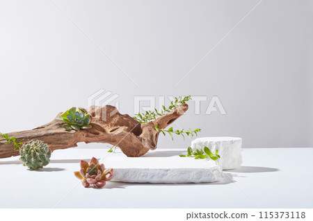 Minimalist style photo with white background, was taken from front view. In the center of countertop displaying an empty flat plaster platform for showing product, still blank space for designing Minimalist style photo with white background, was taken from front view. In the center of countertop displaying an empty flat plaster platform for showing product, still blank space for designing 115373118