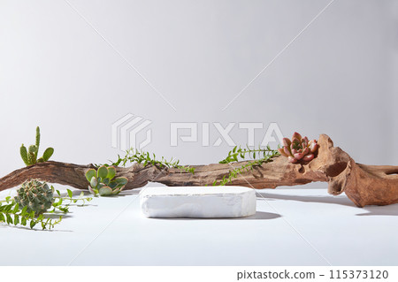 Summer nature style photo on white background with front angle shot, blank white podium for product displaying, dry tree branch and fresh plants decoration in behind Summer nature style photo on white background with front angle shot, blank white podium for product displaying, dry tree branch and fresh plants decoration in behind 115373120