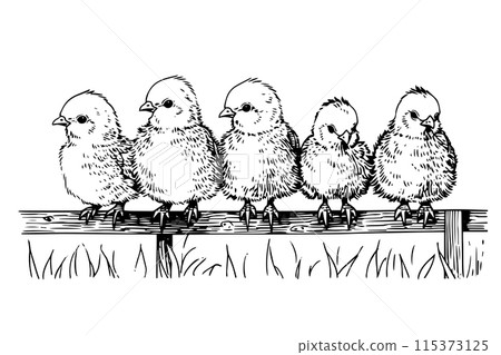 Cute little chicken hand drawn ink sketch. Engraved style retro vector illustration. 115373125