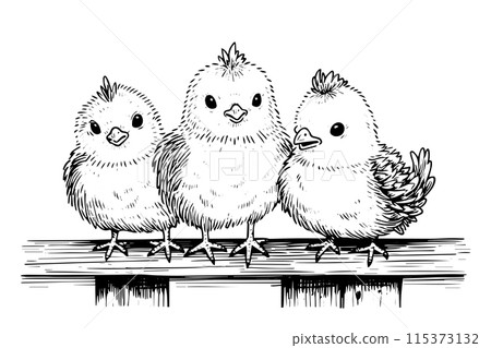 Cute little chicken hand drawn ink sketch. Engraved style retro vector illustration. 115373132