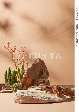 A blank large stone pedestal placed on light yellow countertop over the same color background, some cacti and dry tree decorated on stone in back. Photo of front view with empty space for text 115373152