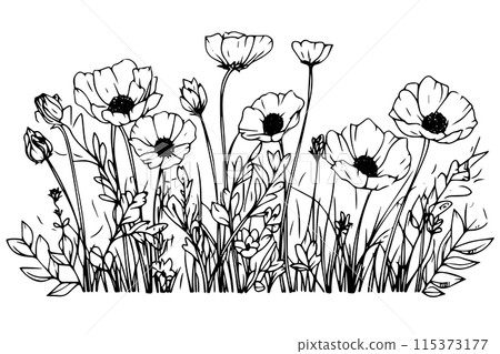 Wild flower line drawing ink sketch. Engraved style retro vector illustration. 115373177