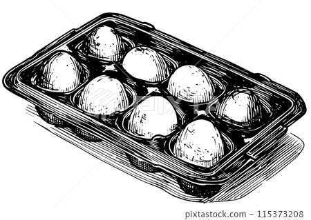 Box of eggs hand drawn ink sketch. Engraving style vector illustration. Box of eggs hand drawn ink sketch. Engraving style vector illustration. 115373208