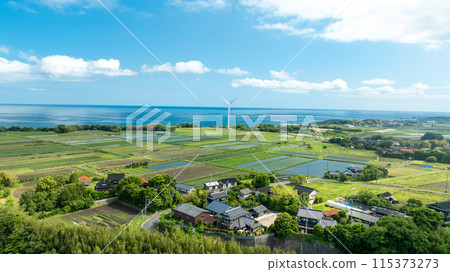 Country landscape 115373273