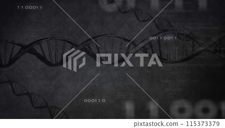 Image of data processing, numbers and dna over grey background 115373379