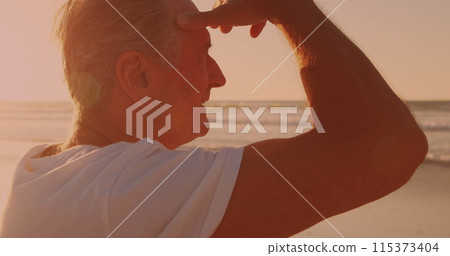 Rear view of caucasian senior man enjoying the view at the beach 115373404