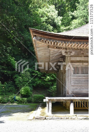 山寺 舊正殿和周圍鬱鬱蔥蔥的樹木 115373526