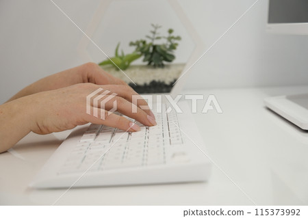 Closeup of business woman hand typing on keyboard and mouse Closeup of business woman hand typing on keyboard and mouse 115373992